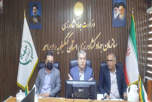 آمادگی کهگیلویه و بویراحمد برای کشت پاییزه/ ۱۲۰ هزار هکتار در مسیر تأمین امنیت غذایی
