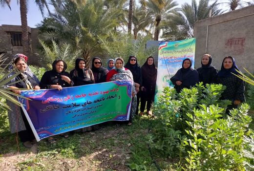 فعالیت 13 صندوق اعتبار خرد زنان روستایی در کازرون