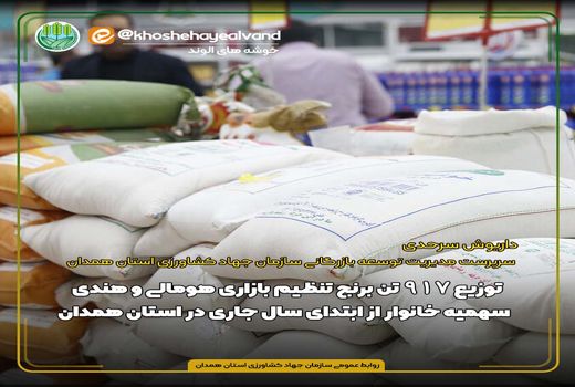 توزیع 1715 تن کالای اساسی تنظیم بازاری در استان