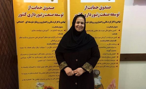 رد پای صنعت زنبورداری در برنامه ششم توسعه نیست/ هفت میلیون دیابتی داریم