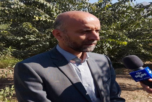 شاهرخی: ۱۰۰۰هکتار تاسال ۱۴۰۴به سطح باغات استان اضافه می شود