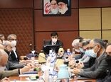 ​فرآیندهای خدمات دامپزشکی، با زمان‌بندی معین، به بخش خصوصی اعلام خواهد شد