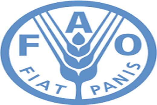 همکاری ایران با برنامه GSP فائو برای توسعه مدیریت پایدار خاک