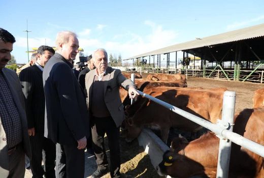 گسترش زنجیره‌های دام و طیور برنامه راهبردی اقتصاد کشاورزی است