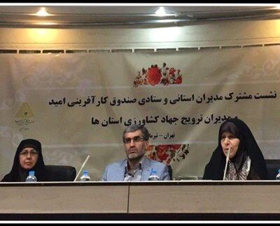 جوامع محلی با ایجاد صندوق اعتبارات خرد زنان روستایی با همکاری صندوق کارآفرینی امید توسعه می‌یابد/ تشکیل 600 صندوق اعتبارات خرد زنان روستایی در 15 استان کشور