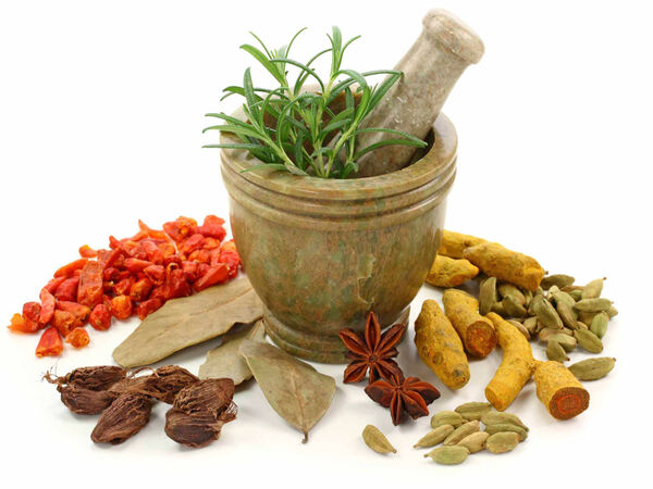 توسعه کشت گیاهان دارویی در آبادان