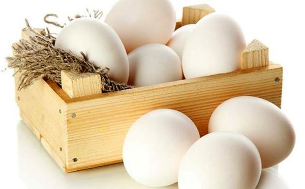 نوسانات قیمت تخم‌مرغ از ابتدای سال جاری + نمودارها