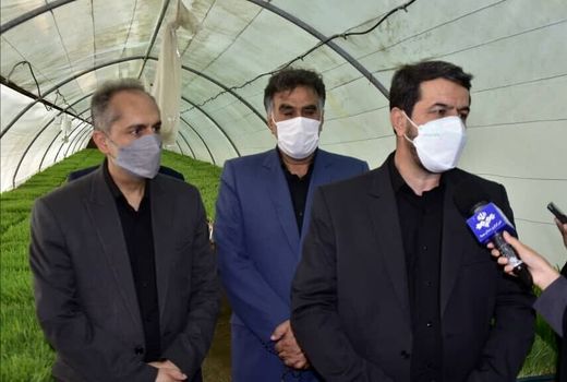 توسعه کشت علوفه هیدروپونیک در خراسان جنوبی 