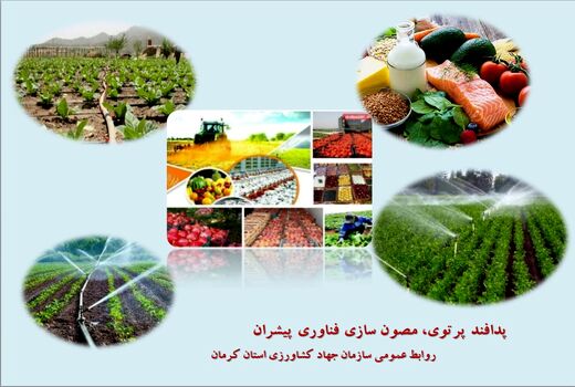 آغاز مانور سراسری مقابله با عرضه آفت کش های غیرمجاز و تقلبی در استان کرمان