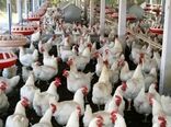 بهره‌برداری از 40 طرح صنعتی و کوچک روستایی در زنجان