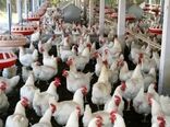 بهره‌برداری از 40 طرح صنعتی و کوچک روستایی در زنجان