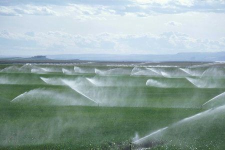 اجرای سیستم آبیاری تحت فشار در اراضی کشاورزی استان البرز
