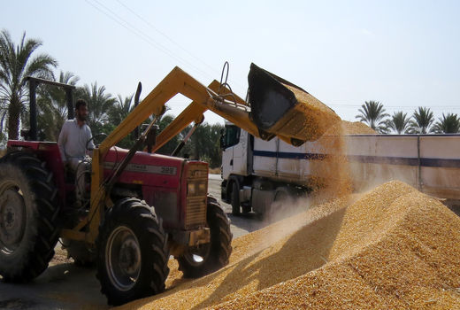 ورود 250هزار تن نهاده دامی به کشور از بندر چابهار