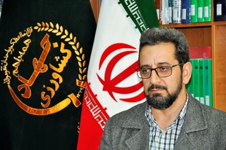 تولید ۶۷ تن زعفران طی سال ۹۸ در خراسان‌جنوبی 