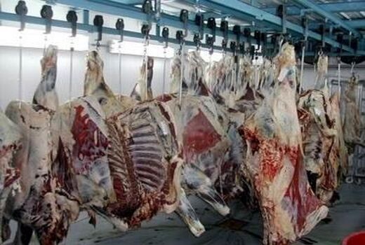 3800 میلیارد گوشت قرمز در بابل تولید شد