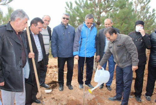 کاشت ۱۲ هزار نهال و توسعه ۲۰ هکتار جنگلکاری در تفرجگاه عینالی تبریز آغاز شد