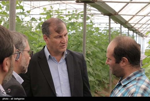  بیشتر محصولات باغی استان سمنان در سبد صادرات کشور است