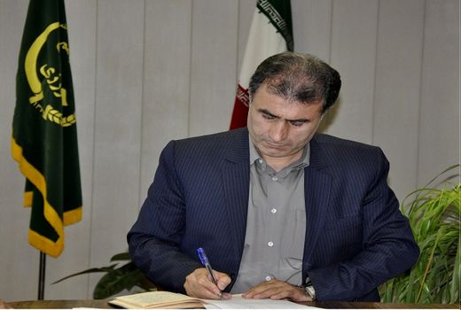 ۹۵درصد شالیزار‌های گیلان وجین شده است