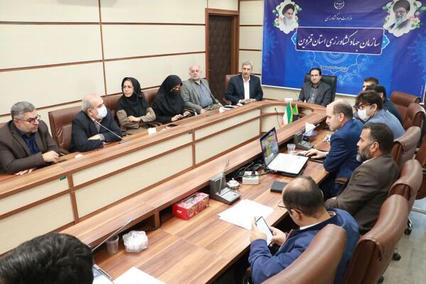بررسی مسائل و مشکلات چند پلاک از اراضی ملی در سازمان جهاد کشاورزی قزوین