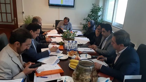 کلیه دام های سبک و سنگین در استان تهران بیمه می شوند