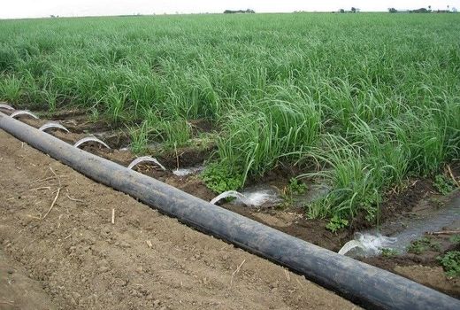 سه هزار هکتار اراضی ابرکوه در دولت دهم و یازدهم به آبیاری نوین تجهیزشد