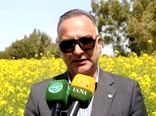 ۸ استان در مدار برداشت گندم/ لزوم تسریع پرداخت مطالبات گندم کاران