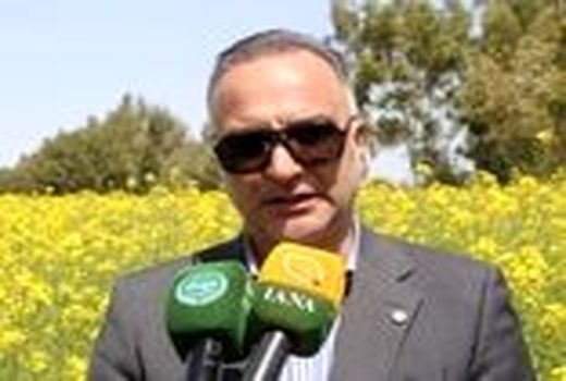 ۸ استان در مدار برداشت گندم/ لزوم تسریع پرداخت مطالبات گندم کاران