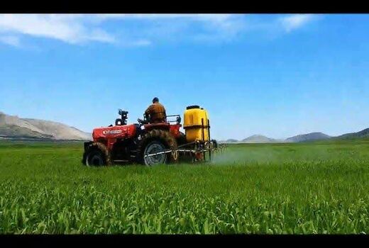 مبارزه با علف‌های هرز در بیش از ۲۳ هزار هکتار از مزارع غلات کهگیلویه و بویراحمد
