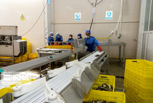 تامین 40 درصد خوارک آبزیان کشور در چهارمحال و بختیاری