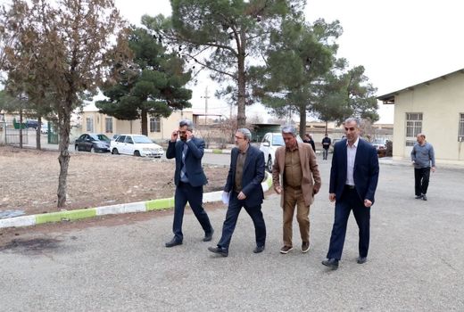 سرپرست سازمان جهاد کشاورزی استان قزوین از مرکز جهاد کشاورزی کوهپایه بازدید کرد
