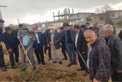 غرس 4 هزار اصله نهال در ساری