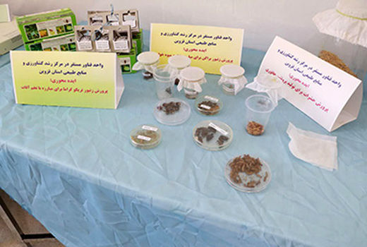 حضور ۱۶ واحد فناور بخش کشاورزی قزوین در رویداد تانا