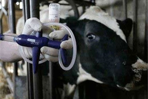 سه برابر افزایش قیمت در6ماه