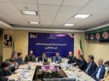 آزادسازی صادرات دام از هفته آینده / مطالبات کلزاکاران از فردا پرداخت می شود