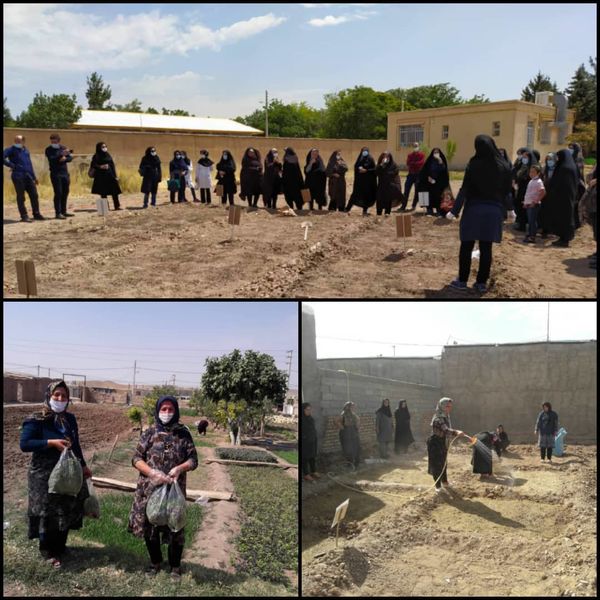 ۵۱۰ زن روستایی در استان قزوین کشت سبزیجات را آموزش می‌بینند