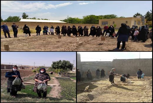 ۵۱۰ زن روستایی در استان قزوین کشت سبزیجات را آموزش می‌بینند