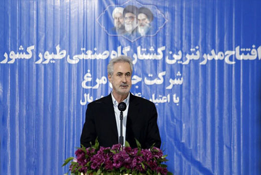 صادرات گوشت مرغ با افتتاح مدرنترین کشتارگاه صنعتی طیور کشور در مرند 