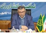 9 هزار تن کلزا و گندم در مازندران خریداری شد