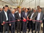 گلخانه مدرن ۱۰ هکتاری کشت و صنعت آذربایجان خاوری در شبستر با حضور وزیر جهاد کشاورزی افتتاح شد