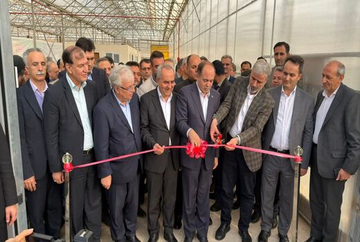 گلخانه مدرن ۱۰ هکتاری کشت و صنعت آذربایجان خاوری در شبستر با حضور وزیر جهاد کشاورزی افتتاح شد