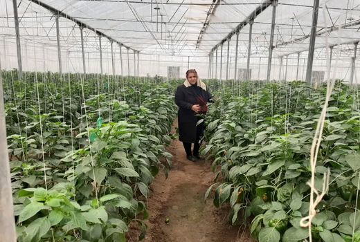  پشتکار زیاد، آموزش و علاقه عامل موفقیتم است