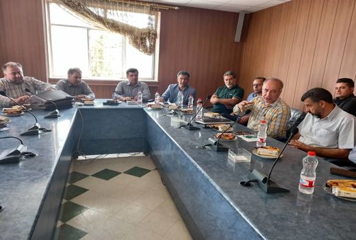 برگزاری نشست ساماندهی سموم قاچاق و غیر مجاز در شهرستان تاکستان