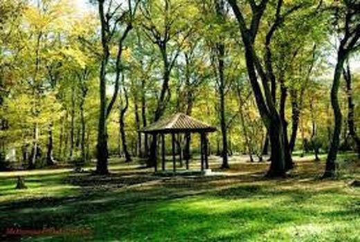 ممنوعیت ورود به بوستان ها و عرصه های طبیعی استان تهران