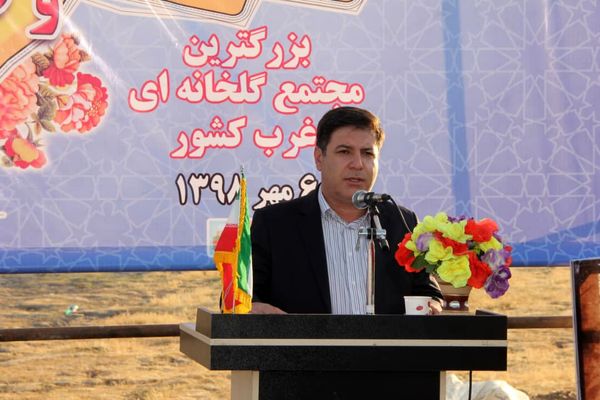 شناسایی ۲۷۳ هزار هکتار اراضی برای احداث شهرک‌های گلخانه‌ای در کشور