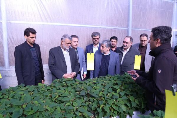 بازدید وزیر جهاد کشاورزی از پروژه های بخش کشاورزی شهرستان پاکدشت 