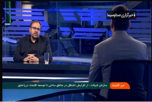 رهاسازی و تکثیر ۳۶۵ میلیون قطعه ماهی در دولت سیزدهم