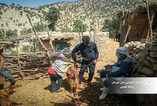 ایمنی دام‌های سبک در ایذه علیه بیماری آبله