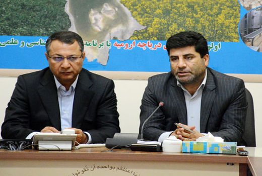  کاهش سطح زیر کشت در صورت عدم افزایش نرخ خرید تضمینی گندم 