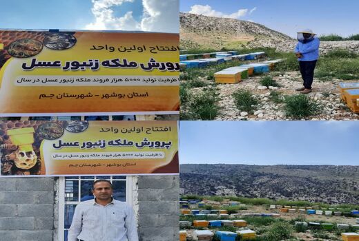 اولین طرح ایستگاه ملکه زنبور  عسل در استان  افتتاح شد