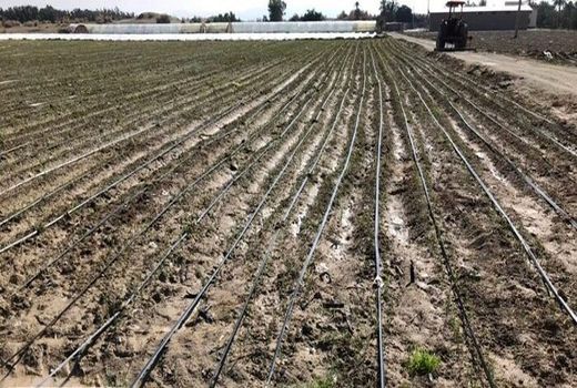 توسعه کشاورزی استان اصفهان با جهش در اجرای آبیاری تحت فشار
